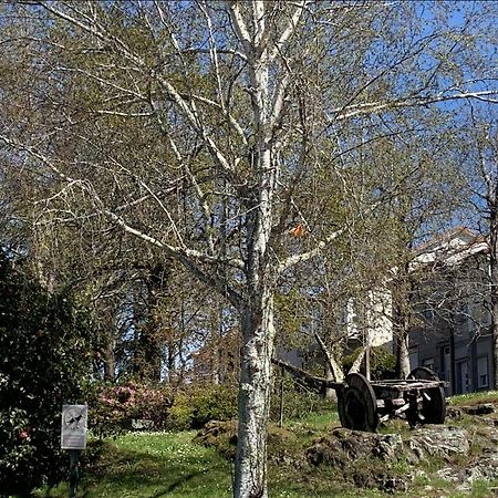 Apartamento Falda do Pedroso - Campo de Estrellas Santiago de Compostela Exterior foto